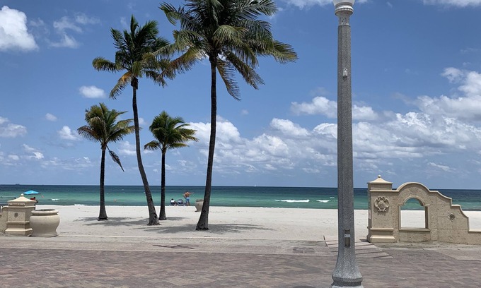 Hollywood Apartment | Hollywood Beach Seagull