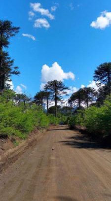 Melipeuco House | Hospedaje de montaña Rincón Conguillío