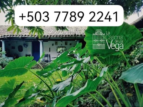 Izalco House | Hostal Casona de los Vega