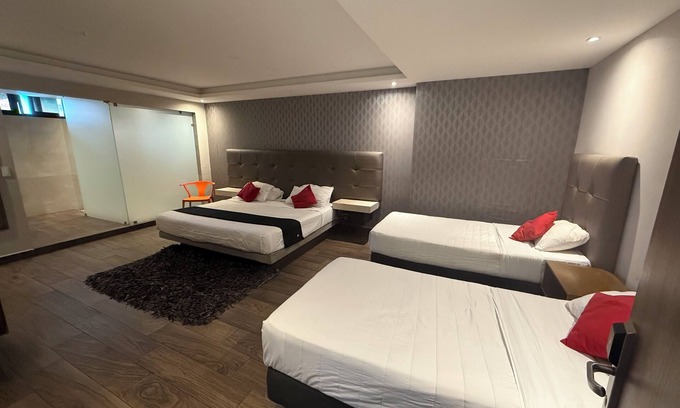 Monterrey Centro Hotel | hotel 202