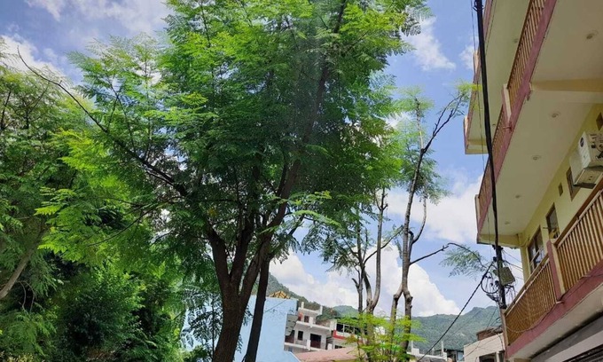 Tapovan Hotel | Hotel Krishna Rishikesh
