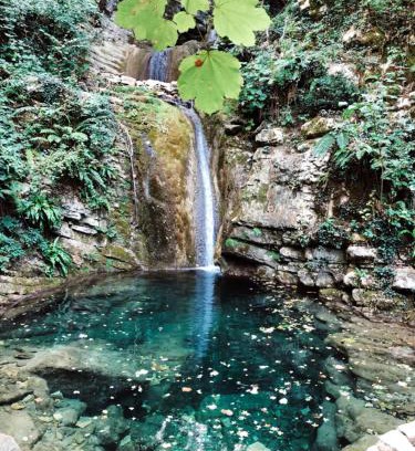 Cagli Hotel | Hotel Pineta