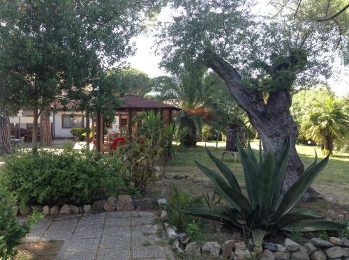 Marina di Campo Hotel | Hotel Santa Caterina