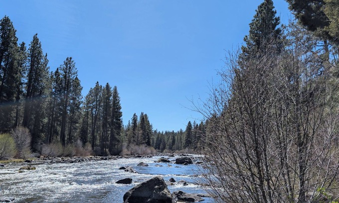 Century West Condo | Hotel-Style, King Bed, Ground Floor Condo-328B