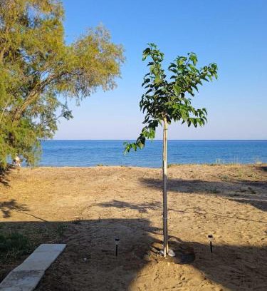 Pylos-Nestoras House | House on the wave relax