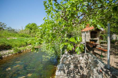 Zrnovnica House | House with large garden right next to the river