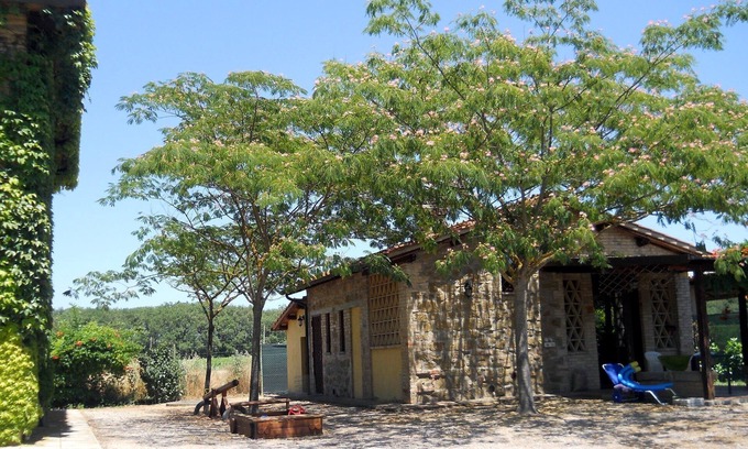 Torgiano House | House With Pool In A Wine Estate Close To Assisi And Perugia. Free WIFI