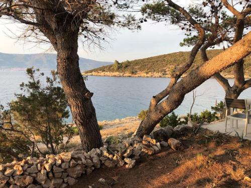 Cove Basina (Jelsa) House | Hvar island -Enjoy Your privacy by the sea