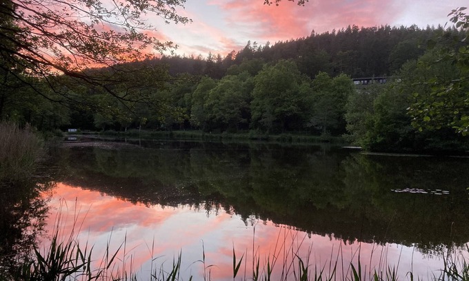 Ziebach Apartment | Immensee IV cozy small Apartment with common area with fireplace