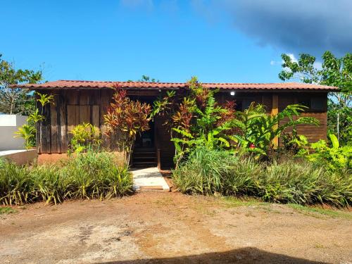 Carara House | Jaco-Carara 3 bdrm surrounded by rainforest with private pool