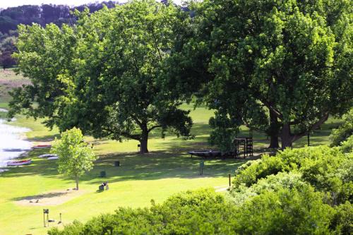 Chrissiesmeer Ski Chalet | Jonatan at Genesaret