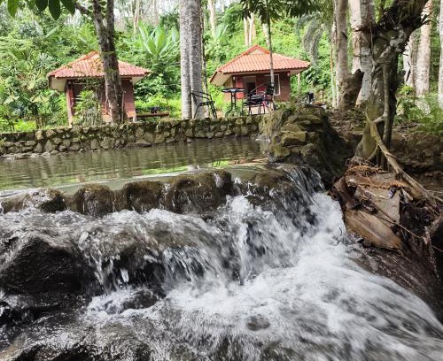 Phanom Hotel | Khaosok Creek and Jungle Resort