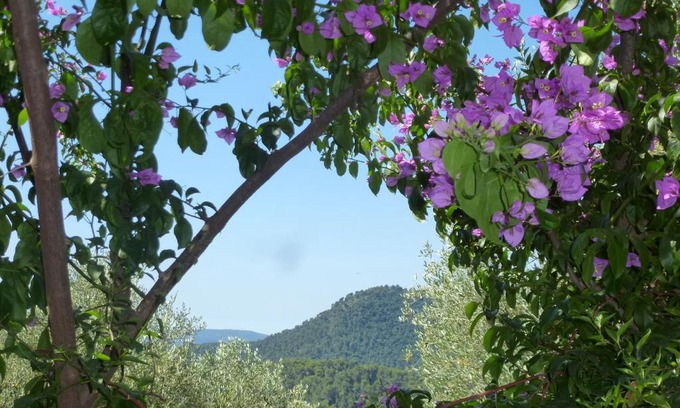 L'Escarene Bed & Breakfast | L'Origane