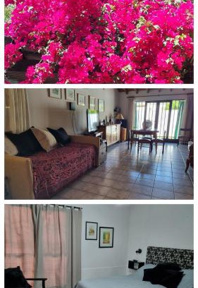 Mendoza City Center House | La casa de Chiqui