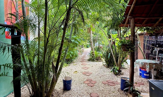 Chichen Itza - Valladolid House | La Casa Del Arbol