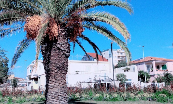 Olbia City Centre House | La Promenade