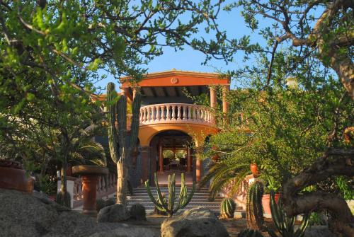Vinorama Bed & Breakfast | La Valise Los Cabos