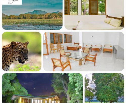 Tissamaharama Other | Lacoste By Yala Forest Bungalow