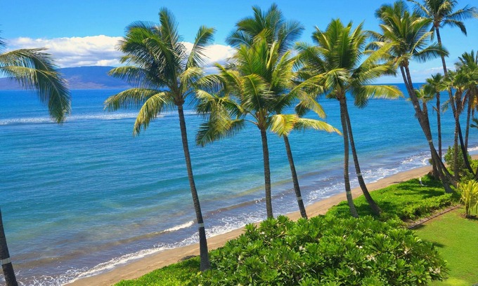 Historic Lahaina Front Street Apartment | Lahaina Shores 421 - Studio Oceanfront Condo