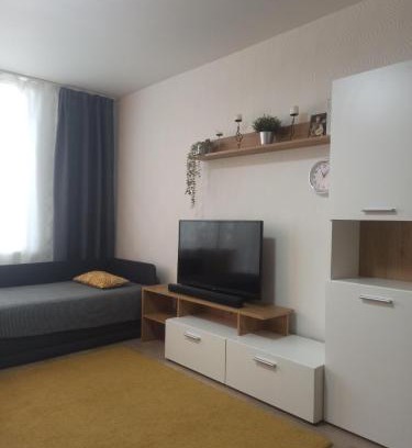 Visaginas Apartment | Lake apartment