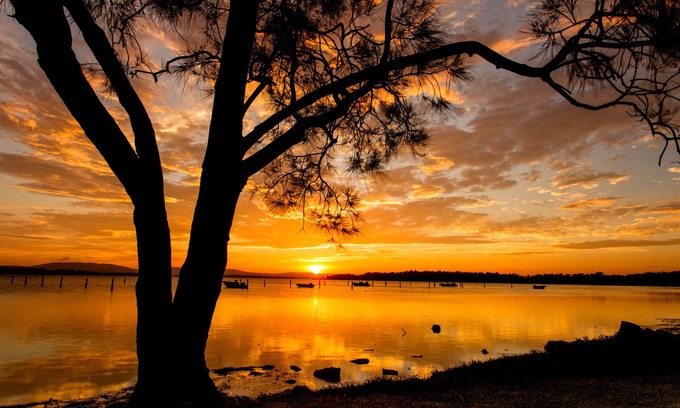 Forster Other | Lakeside Forster Holiday Park