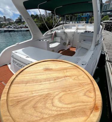 Salvador Boat Rental | Lancha Aluguel