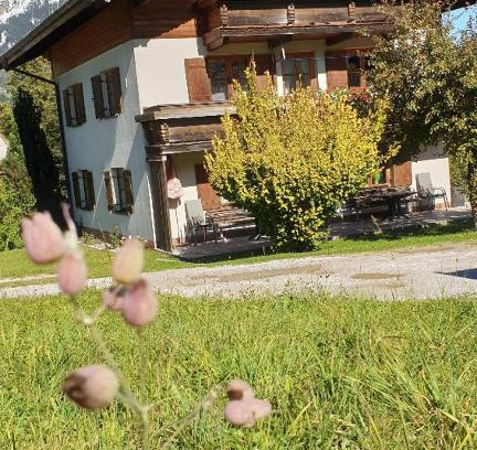 Scheffau am Wilden Kaiser Apartment | Landhaus Hoschek