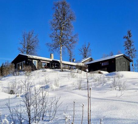 Steinsetbygdi House | Large Secluded Cabin With Spa And View In Valdres