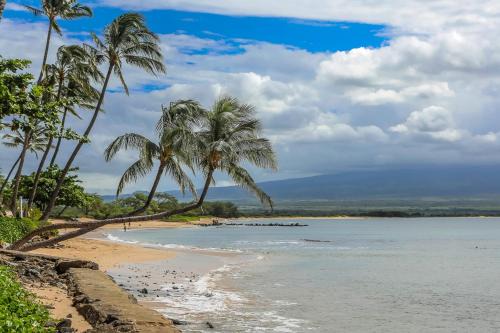 Maalaea Apartment | Lauloa 407 by Coldwell Banker Island Vacations