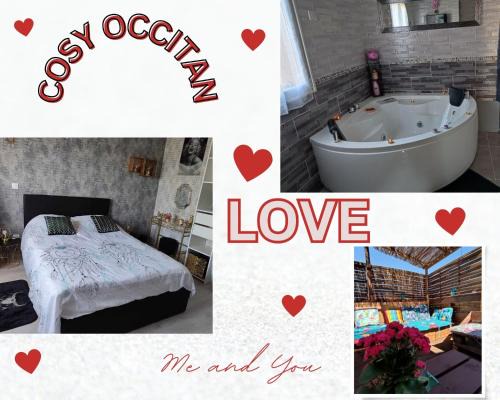 Carcassonne House | Le Cosy Occitan villa chaleureuse indépendante baignoire terrasse jardin