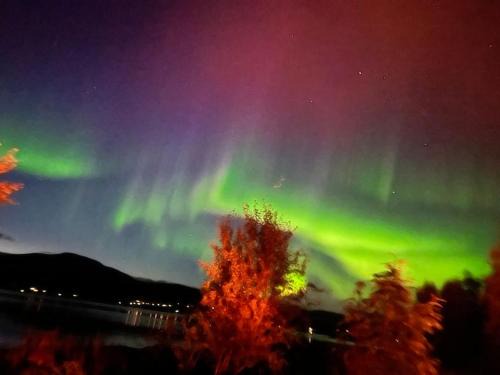 Tromso Apartment | Leilighet på toppen av Tromsøya