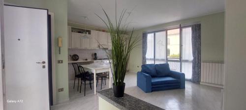 Novara Apartment | Lion&Lion