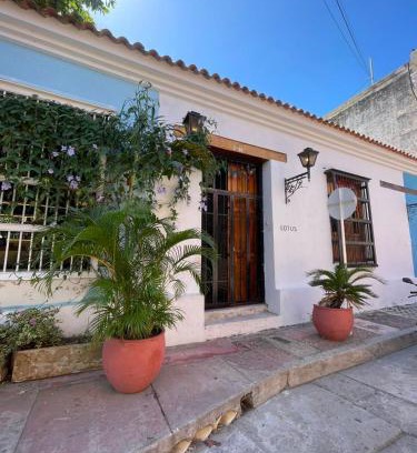 Barrio Centro Hotel | Lotus Central Hotel