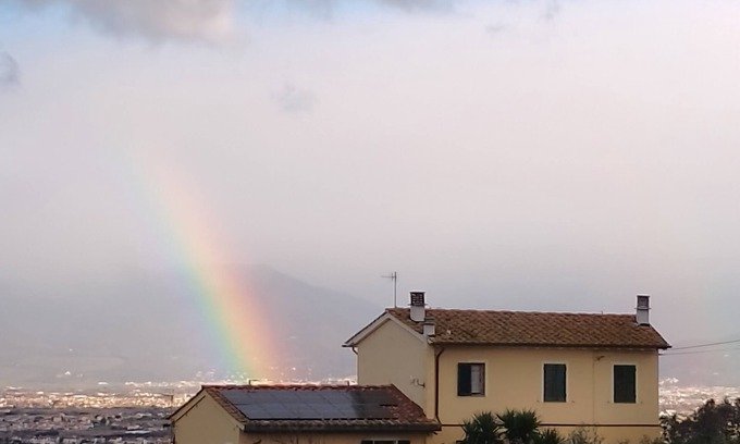 Tizzanna Apartment | Lovely loft among olive trees nestled in the Tuscan countryside