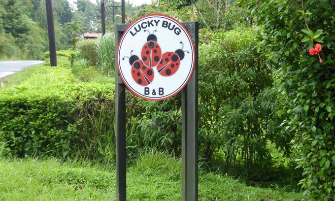 Arenal Bed & Breakfast | Lucky Bug Bed And Breakfast