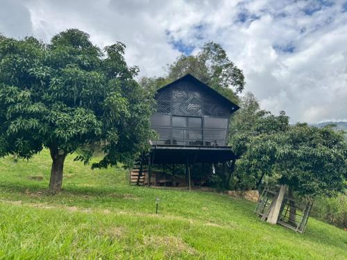 Silvania Other | Luna Menguante Refugio de Silencio y Renovación