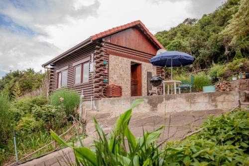 Glentana Apartment | Luxury Cabin - Bachelor's Haven