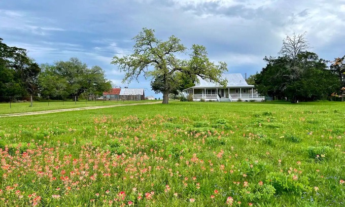 Round Top Other | Luxury Farmhouse & Guesthouse/6mil to The Square