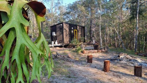 Gurranang House | Magic Bush Stay Yamba Hinterland by Tiny Away