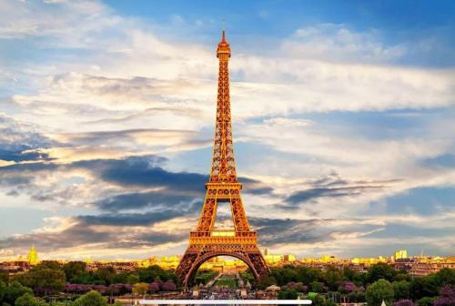 Faubourg Saint-Germain Apartment | Magnifique appartement Tour Eiffel
