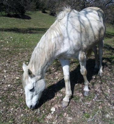 Montieri Apartment | Magrignano