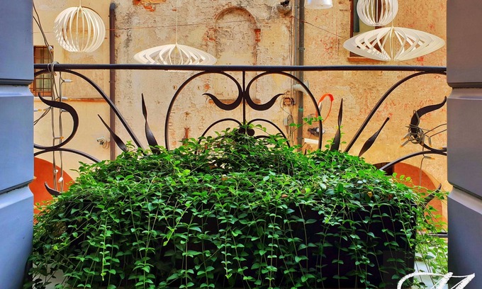 Treviso House | Maison Matilda