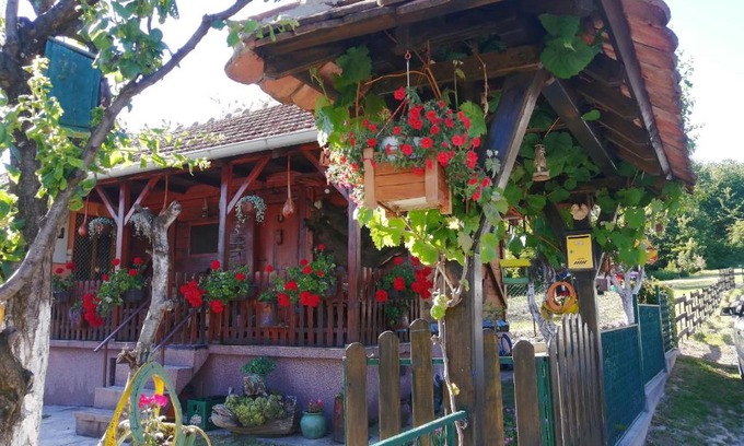 Mladenovac Apartment | Mala Kelja