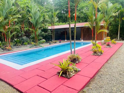 Cahuita House | MamaPapa
