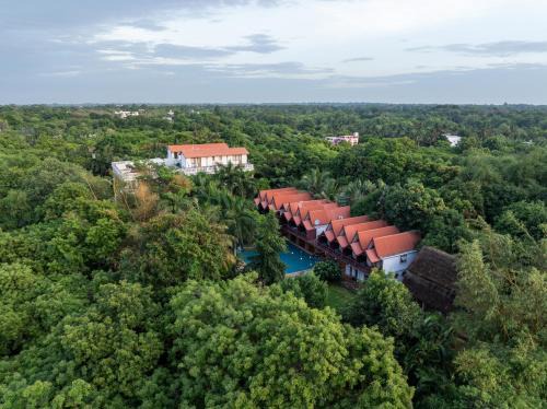 Kuilapalayam Hotel | Mango Hill Auroville Pondicherry