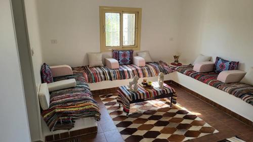 Imbabah House | Mansouria Ranch - Cairo - Egypt
