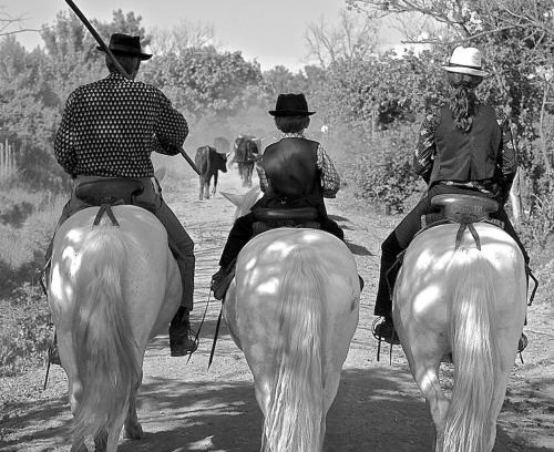 Saintes-Maries-de-la-Mer Bed & Breakfast | Mas du Menage en Camargue Manade Clauzel