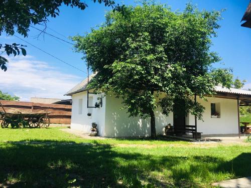 Vinnytsia Oblast Apartment | Mazanka ua Під Вишнею унікальний будинок на березі річки