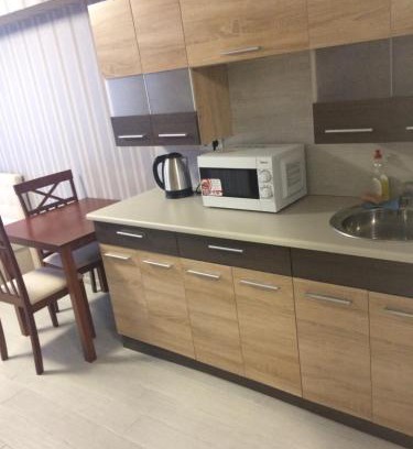 Dniprovs'kyi District Apartment | Mega city
