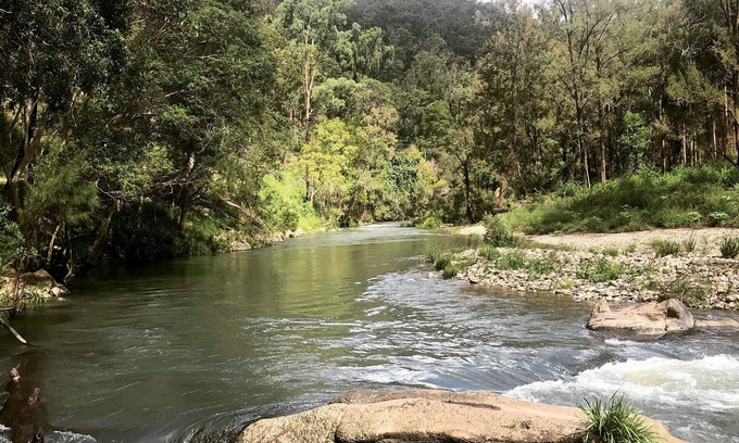 Moparrabah Cottage | Mid North Coast Macleay Valley Mountain Views - Pet Friendly Cottage